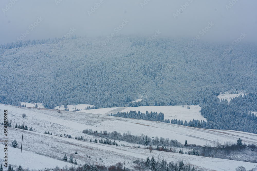 Fototapeta premium winter landscape with snow