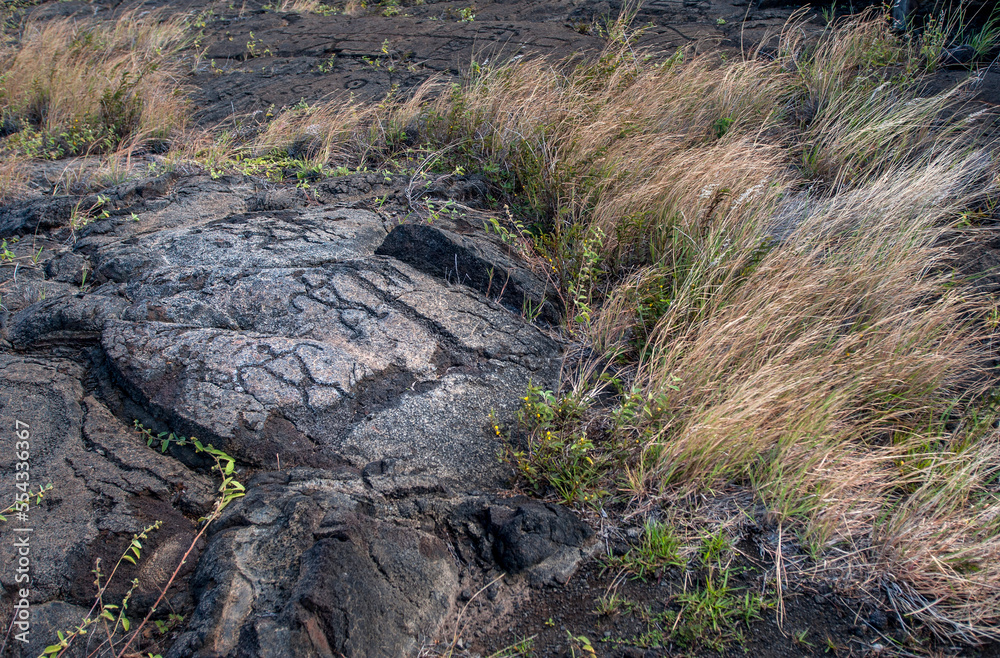 Puʻuloa Petroglyphs, Hawai'i Island (Big Island), Hawaii, USA Puʻuloa Petroglyphs, Hawai'i Island (Big Island), Hawaii, USA