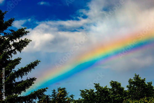 Bright colourful rainbow across the sky with clouds, blue sky and trees in the foreground; Calgary, Alberta, Canada