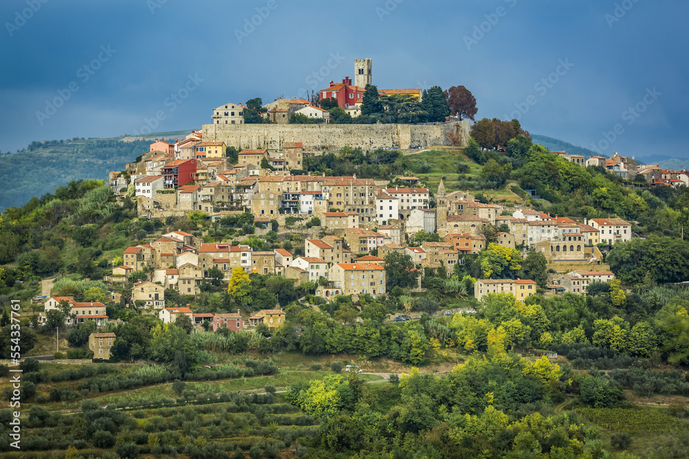 Vineyards surrounding the hilltop medieval town of Motovun; Motovun, Istria, Croatia Vineyards surrounding the hilltop medieval town of Motovun; Motovun, Istria, Croatia
