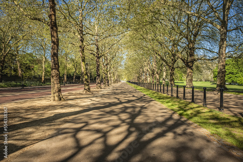 Green Park cycle lane at morning rush hour during the national lockdown, Covid-19 World Pandemic; London, England photo