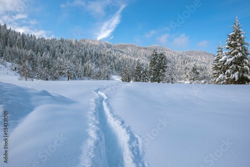 Path in the snow on a beautiful sunny winter day. Winter snowy landscape in Slovenia.