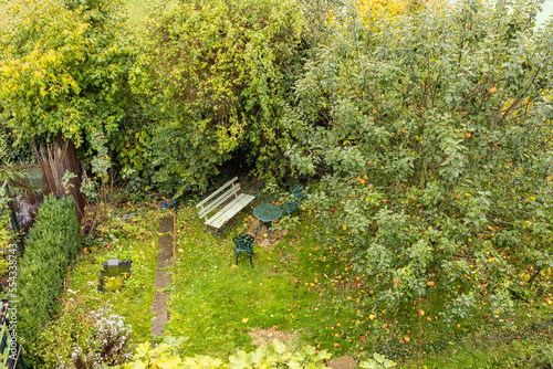 Fototapeta Naklejka Na Ścianę i Meble -  Home garden Allotment from above