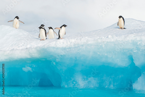 Adelie penguins stand on an iceberg. photo