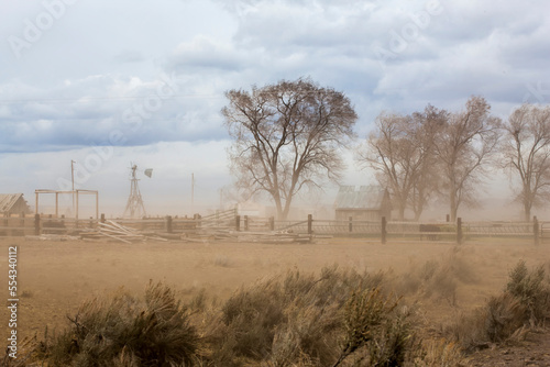 Dust storm on ranch with cottonwoods (Populus deltoides) along a wooden fence and in Harney County; Oregon, United States of America photo