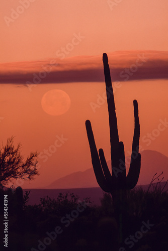 Desert scene with full moon and saguaro cactus at sunset. photo