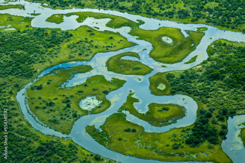 Winding oxbow lakes in a lush green landscape. photo