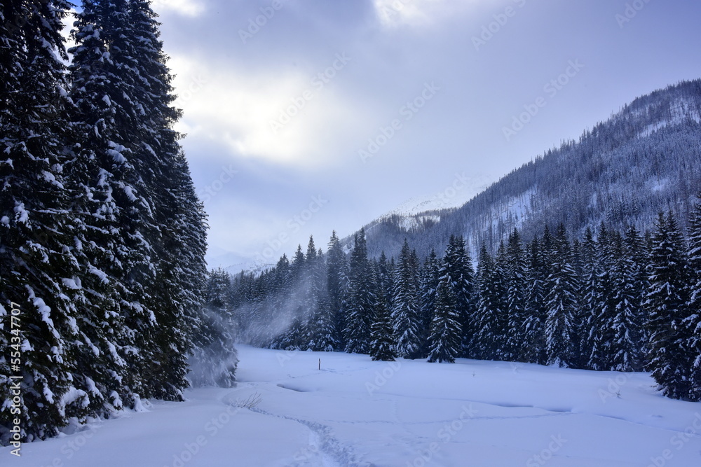 zima, Tatry, szlaki, góry, śnieg, zagrożenie lawinowe,  - obrazy, fototapety, plakaty 