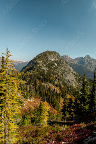 Vertical wide Photo of lush high mountain altitude massive conifer trees off trail with alpine lake below in the North Cascades National Park in Northern Washington State United States of America.