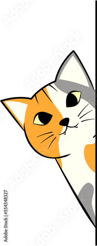 Cat Peeking Vector Illustration