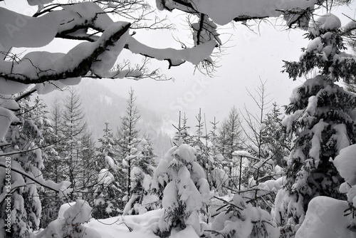 zima, Tatry, szlaki, góry, śnieg, zagrożenie lawinowe, 
