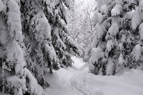 zima, Tatry, szlaki, góry, śnieg, zagrożenie lawinowe,  photo