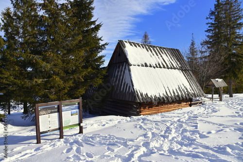 Rusinowa Polana, Tatry, zima, śnieg, Park Narodowy, TPN, photo