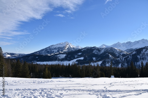 Fototapeta Naklejka Na Ścianę i Meble -  Rusinowa Polana, Tatry, zima, śnieg, Park Narodowy, TPN,