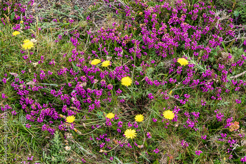 Naklejka premium The cape of Tourinan in Muxia, Costa da Morte, Death Coast, Galicia, Spain.