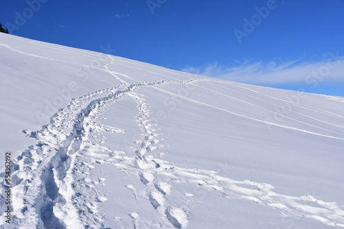 Rusinowa Polana, Tatry, zima, śnieg, Park Narodowy, TPN,