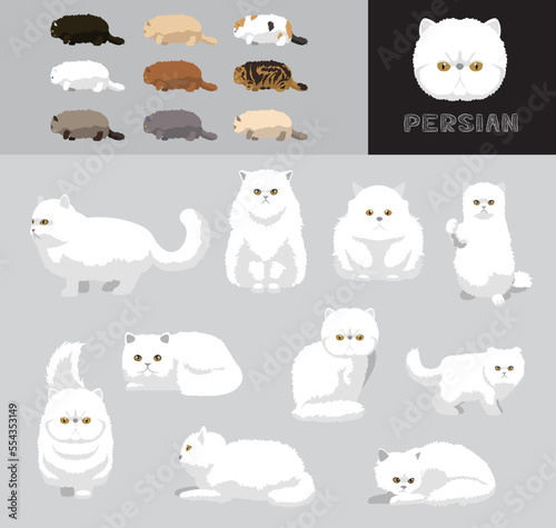 Cat Persian Cartoon Vector Illustration Color Variation Set