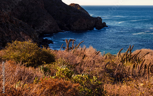 Californian coast of the Pacific Ocean in Punta Brava  Ensenada Baja California  Mexico. 