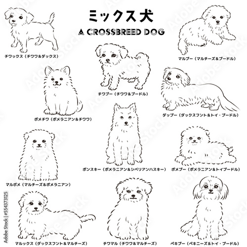 かわいい人気のミックス犬　手描き線画ベクターイラストセット