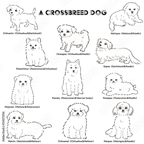 かわいい人気のミックス犬　手描き線画ベクターイラストセット