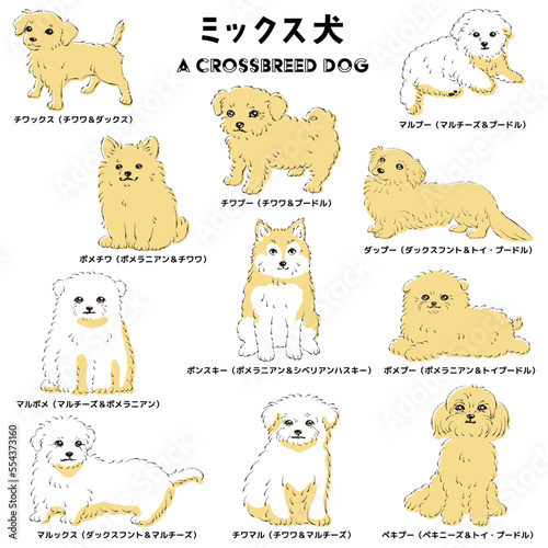かわいい人気のミックス犬　手描き線画ベクターイラストセット
