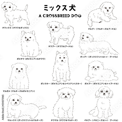 かわいい人気のミックス犬　手描き線画ベクターイラストセット
