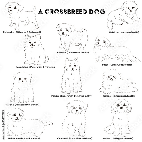 かわいい人気のミックス犬　手描き線画ベクターイラストセット