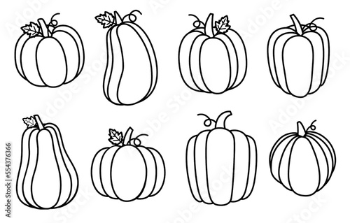 Set of outline pumpkin. Draw collection outline pumpkin