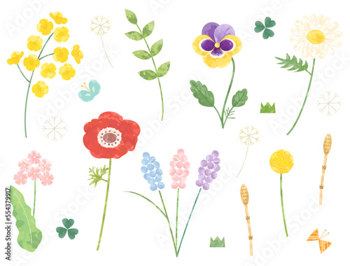 菜の花やパンジー・アネモネなどのの春の花のイラストのセット