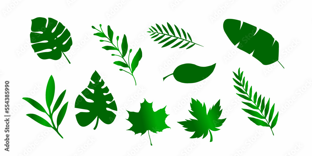 Leaves icon. Green tropical forest leaf icon set. Stock vector.
