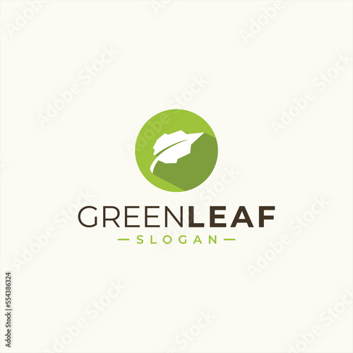 green leaf icons design template vector