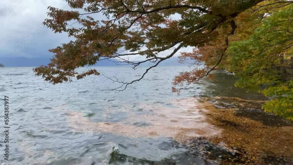 紅葉 紅葉
