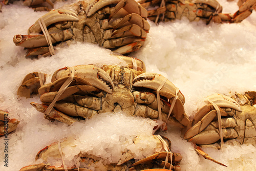 Fresh crabs on ice at the farmers market