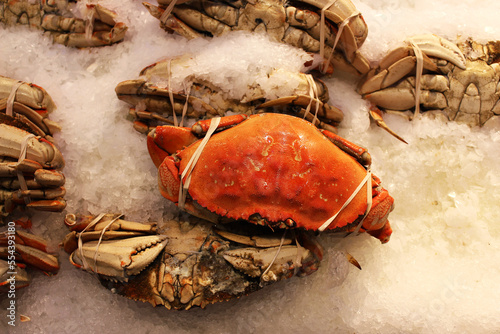 Fresh crabs on ice at the farmers market