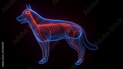 3D medical illustration of a dog's nervous system