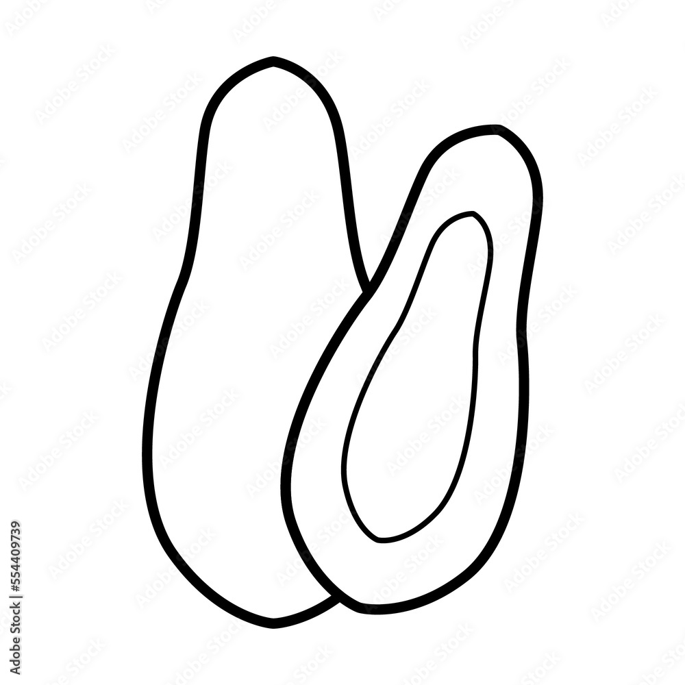 Outline Papaya Vectors Illustration Outline Papaya Vectors Illustration