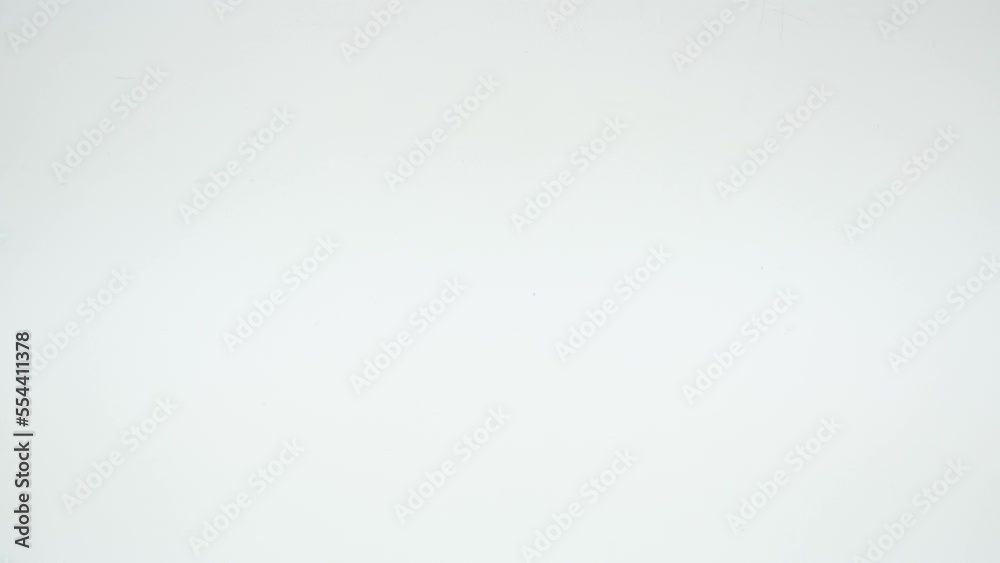 ゆっくり移動するニホンヤモリ ゆっくり移動するニホンヤモリ