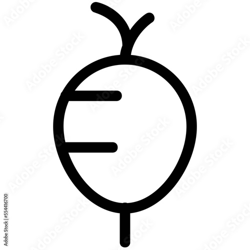 Turnip 