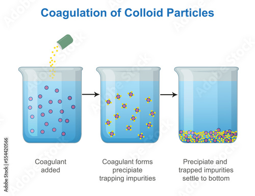 Coagulation of Colloid Particles vector illustration