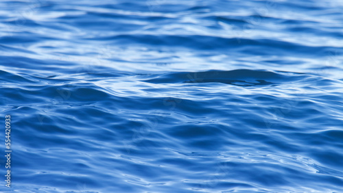 Blue water surface.