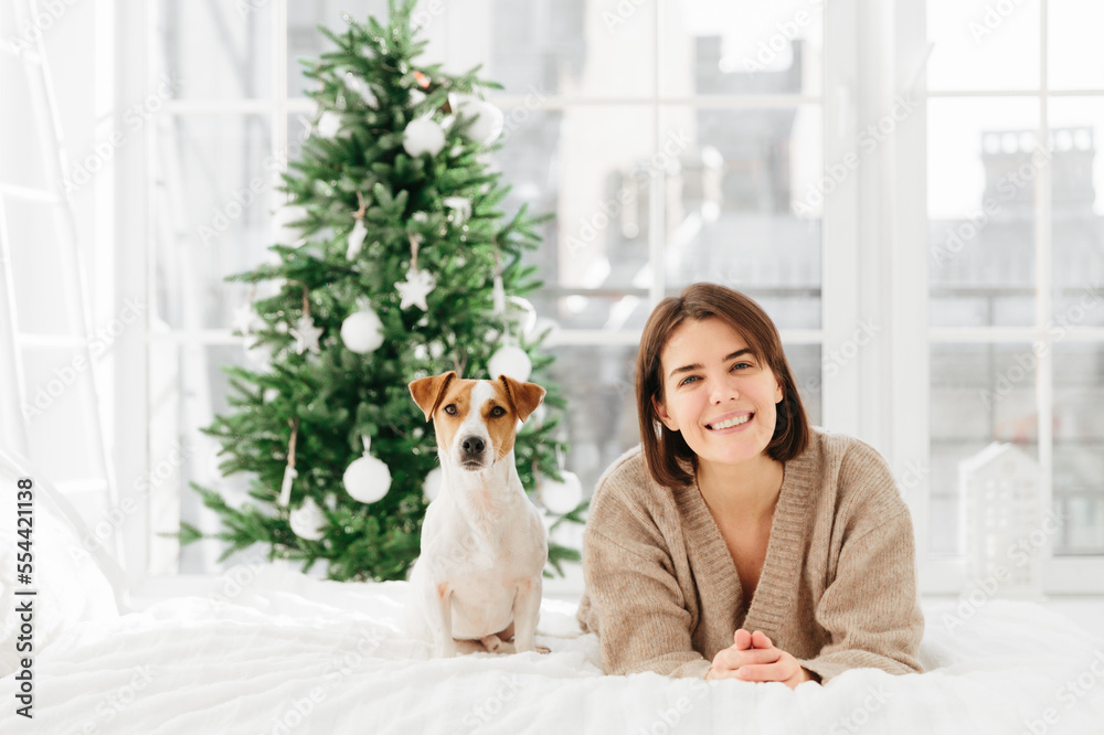 Cheerful brunette woman gets jack russell terrier dog as Christmas gift, lies on bed, feels relaxed and happy, green decorated New Year tree in background. People, animals, holidays concept.