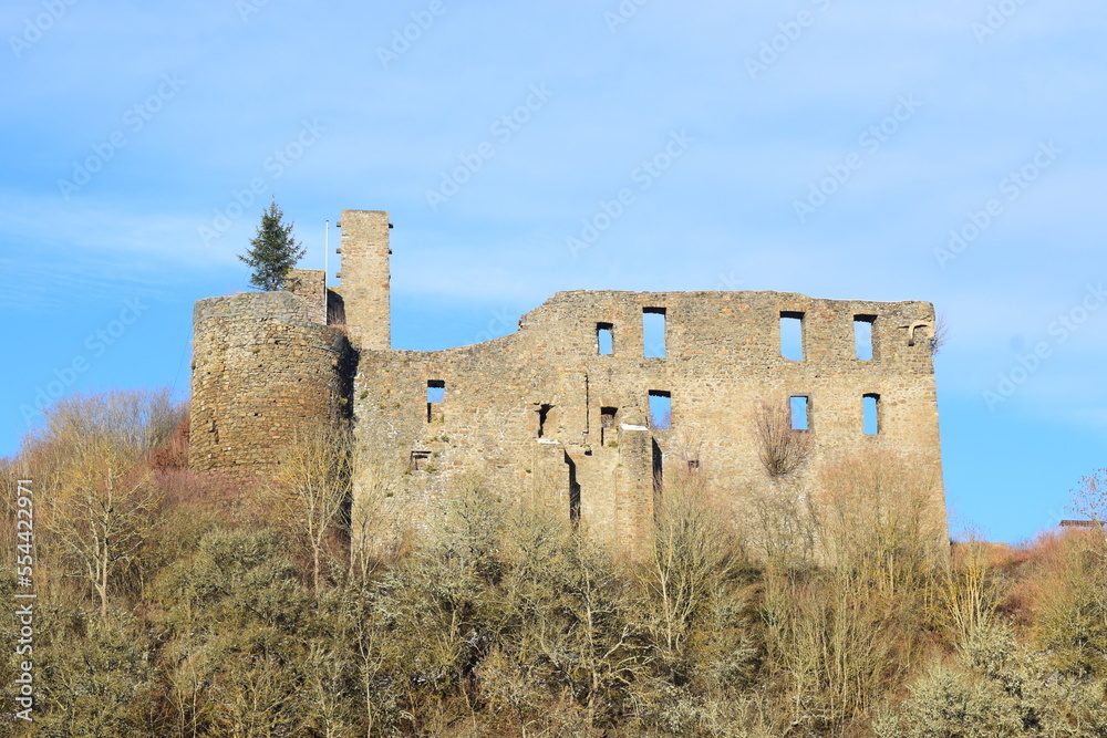 Ruine in Virneburg 12/22