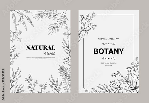 Vintage botanic fern, floral frame. Engraved nature garden, eucalyptus vegetation leaf, wedding invite. Greeting card with herbs stem and meadow petals. Poster template. Vector illustration