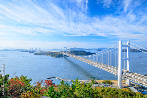 秋の瀬戸大橋　鷲羽山展望台　岡山県倉敷市　Seto Ohashi Bridge in autumn. Wasyuzan observatory. Okayama Prefecture, Kurashiki city.