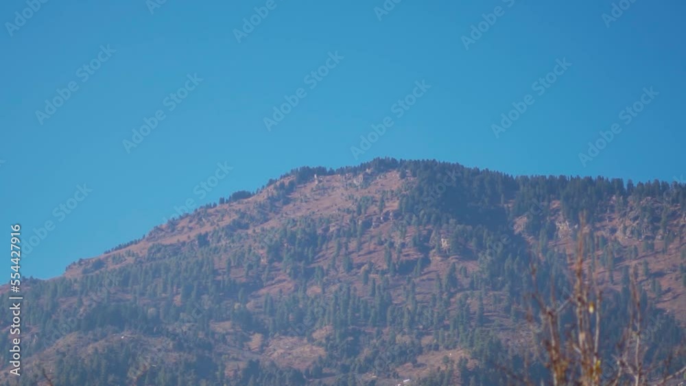 View of the mountain top with trees against a clear blue sky at Manali in Himachal Pradesh, India. View of the top of the mountain peaks during the winter without snow. Natural background. View of the mountain top with trees against a clear blue sky at Manali in Himachal Pradesh, India. View of the top of the mountain peaks during the winter without snow. Natural background.