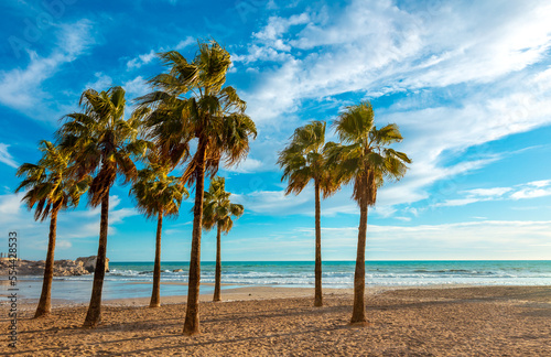 Beautiful beach,  mediterranean sea and palm tree © M.studio