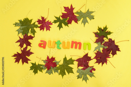 Autumn composition  autumn leaves on yellow background. Concept Welcome Autumn Top view Flat lay.