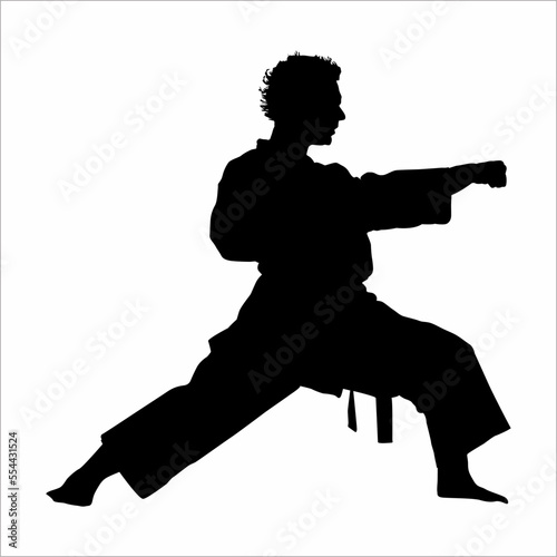 karate silhouette