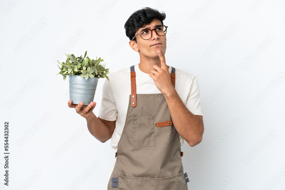 Gardener Argentinian man holding a plant isolated on white background having doubts while looking up Gardener Argentinian man holding a plant isolated on white background having doubts while looking up