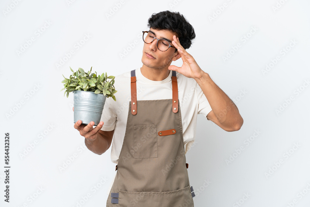 Gardener Argentinian man holding a plant isolated on white background with headache Gardener Argentinian man holding a plant isolated on white background with headache